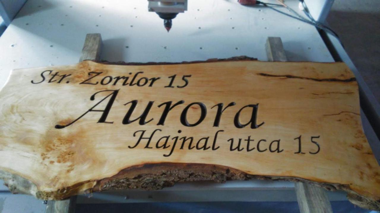 Aurora vendégház Sfântu-Gheorghe Esterno foto